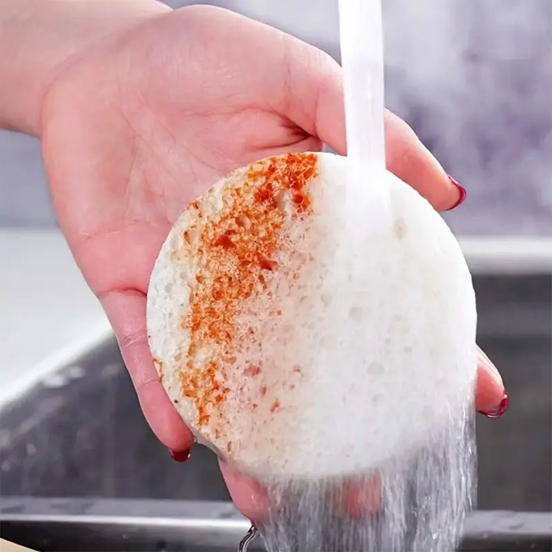 Premium Dual-Action Kitchen Sponge - Scratch-Free Dish Scrubber & High-Absorbency Cleaning Sponge