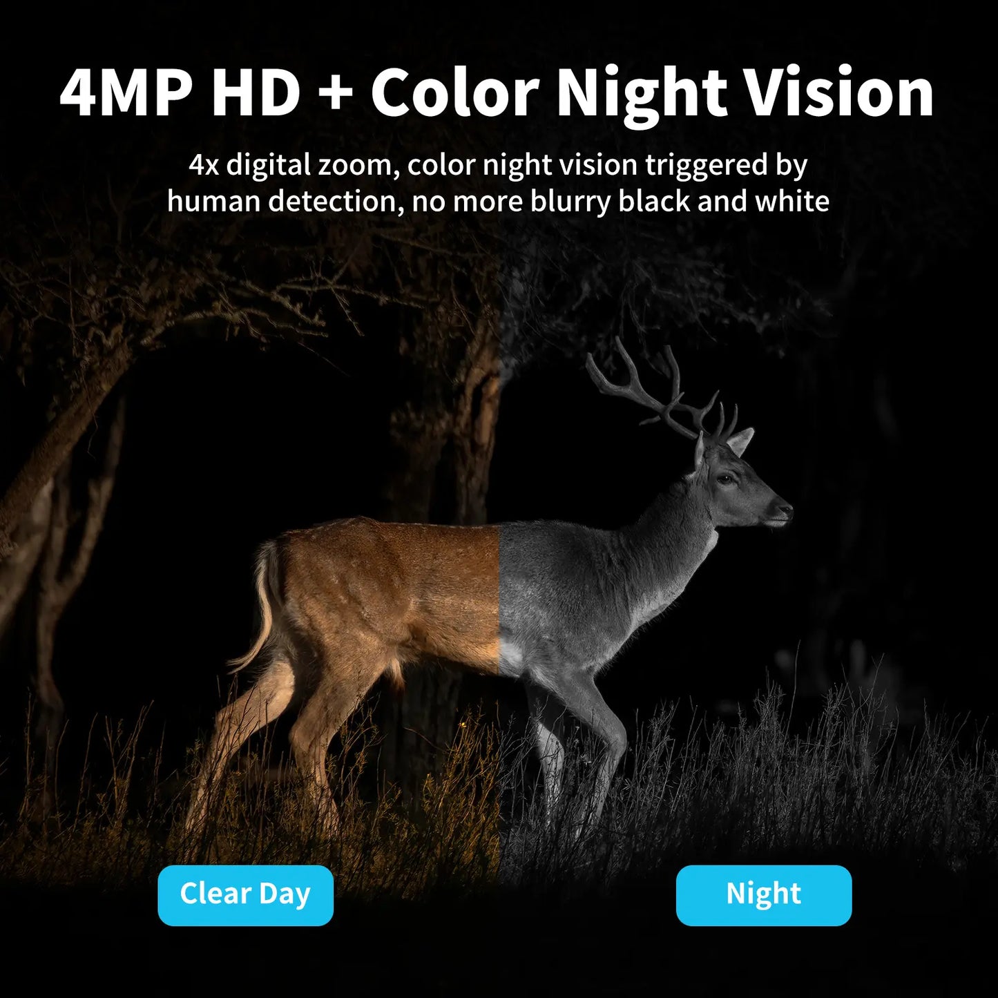 Solar Powered 4G Security Camera